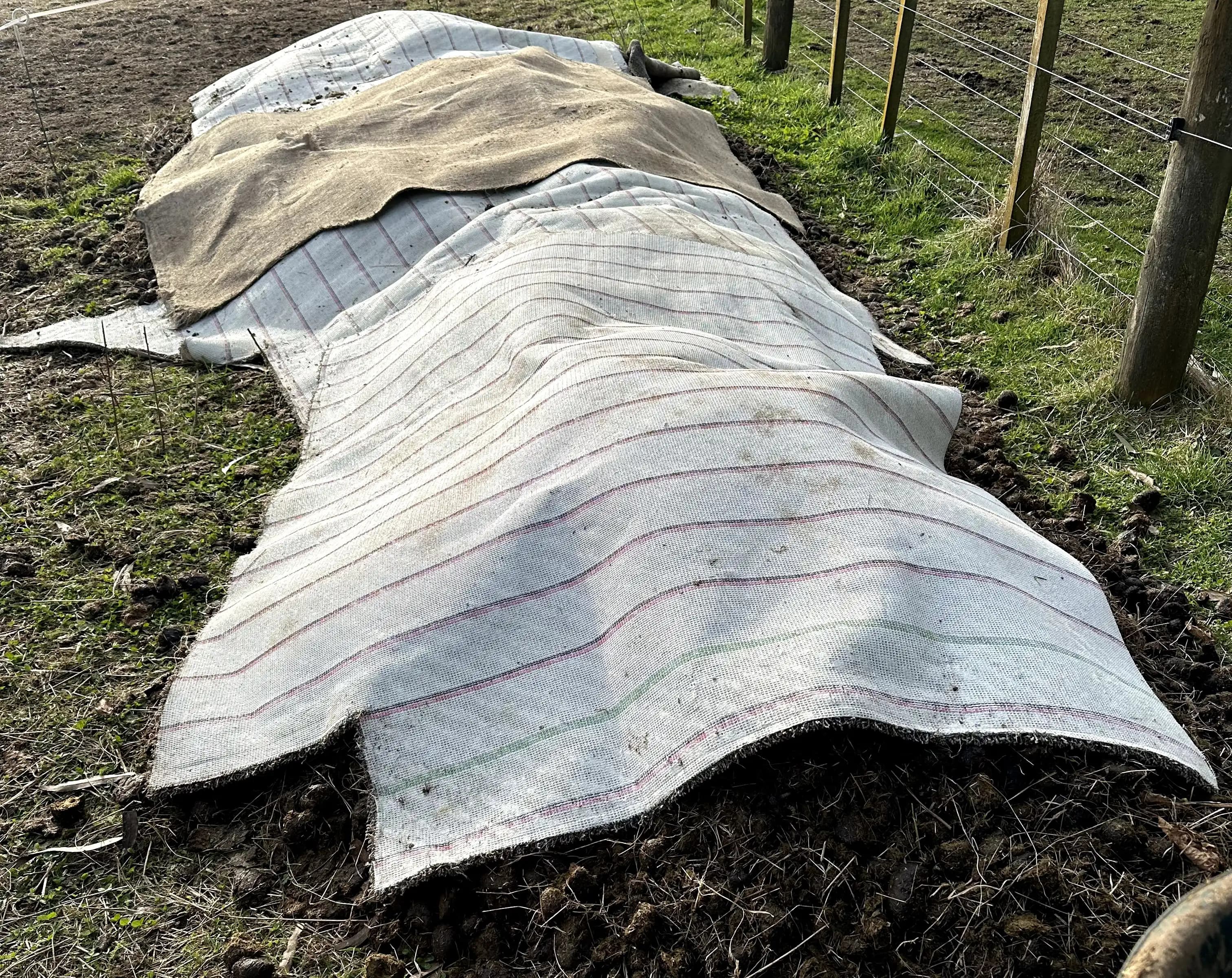 Manure Bed